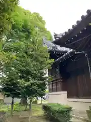 土居八幡神社(兵庫県)