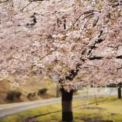 天王山 安楽寺(福井県)