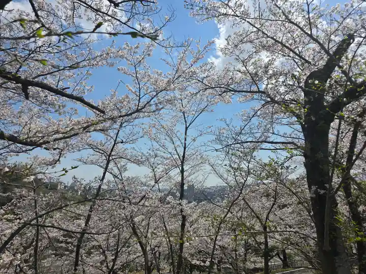 大林寺(兵庫県)
