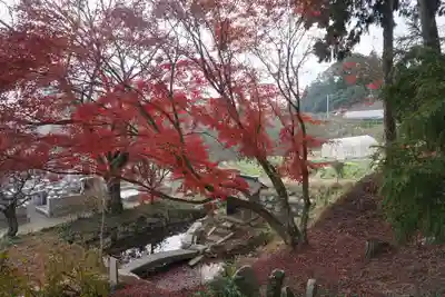 如意輪寺(市原観音)の自然