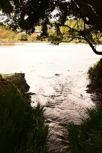 天祖神社(大分県)
