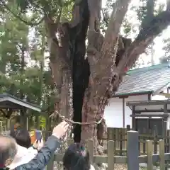 天宮神社(静岡県)