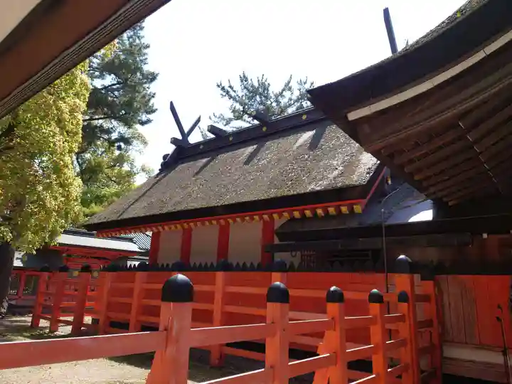 住吉大社(大阪府)