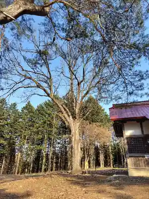 稲荷神社(北海道)