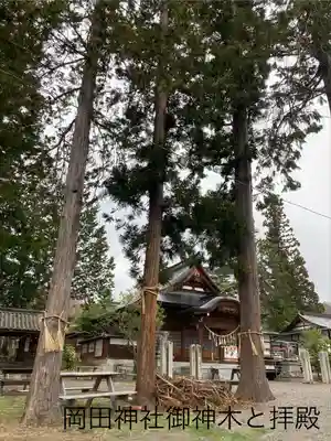 岡田神社(長野県)