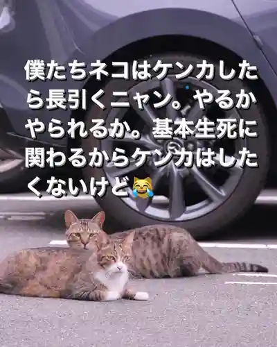 専念寺(大阪府)