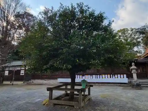 平野神社(京都府)