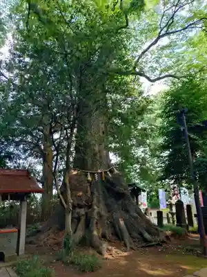 沓掛香取神社(茨城県)