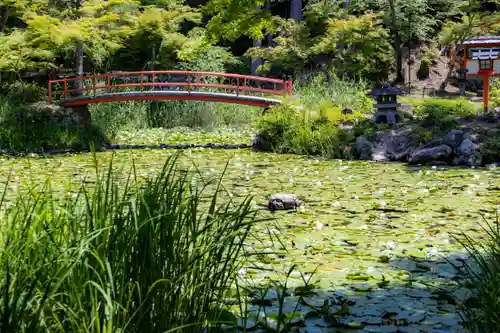 大原野神社の庭園