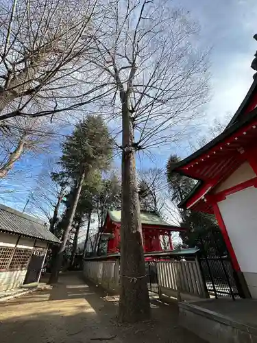 小野神社(東京都)
