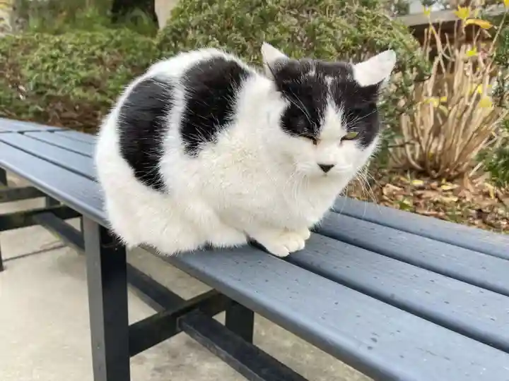 鎌数伊勢大神宮(千葉県)