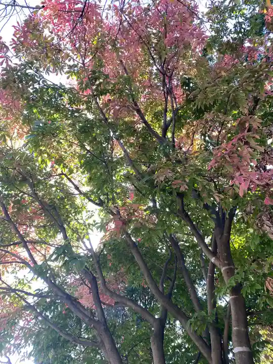 伊勢山皇大神宮の自然