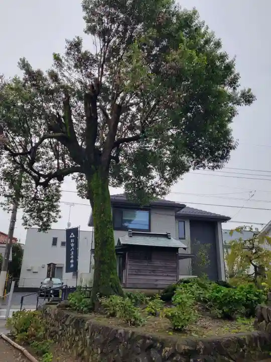 日吉八王子神社の自然