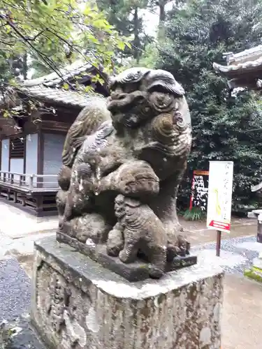 下野 星宮神社の狛犬