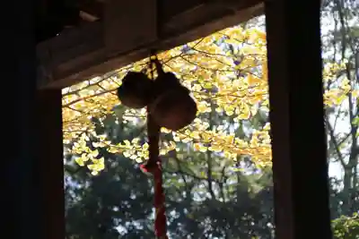 山神社の本殿・本堂