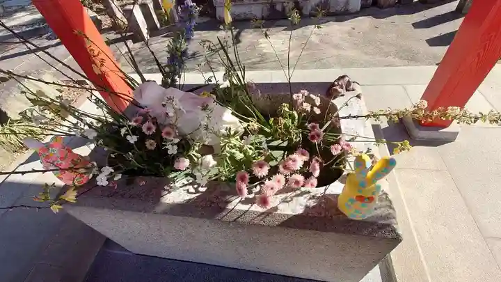 八幡宮(茨城県)