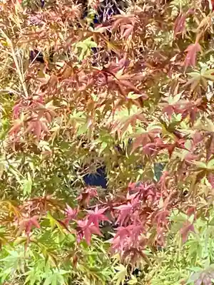 仁和寺(京都府)