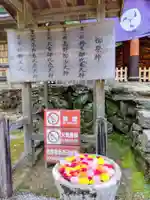 丹生都比売神社(和歌山県)