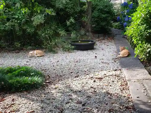 喜見寺(愛知県)