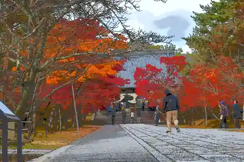 仁和寺の庭園