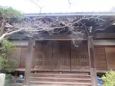 安養寺(京都府)