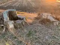 天神神社(千葉県)