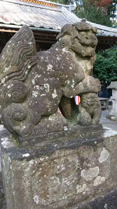 下野 星宮神社の狛犬