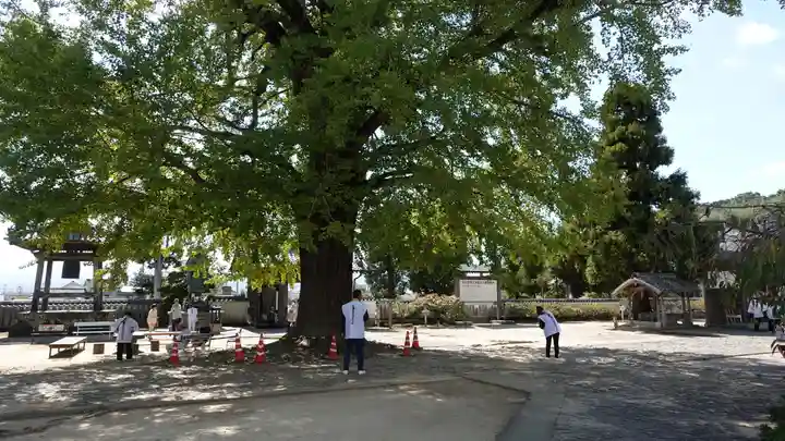 地蔵寺(徳島県)