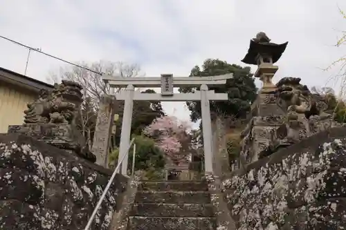 菅布禰神社の鳥居