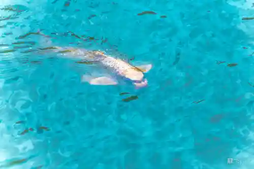 善寶寺(山形県)