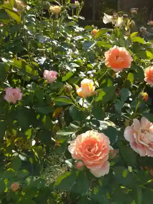 霊山寺(奈良県)