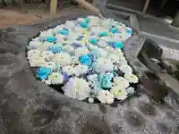 浄誓寺の{uncategorized: "未分類", other: "その他", undefined: "問題あり", building: "その他建物", grave: "お墓", sacred_gate: "鳥居", guardian: "狛犬", statue: "像", buddha: "仏像", history: "歴史", nature: "自然", garden: "庭園", animal: "動物", pagoda: "塔", temizu: "手水舎", mountain_gate: "山門・神門", sanctuary: "本殿・本堂", subordinate: "末社・摂社", art: "芸術", scenery: "景色", jizo: "地蔵", ema: "絵馬", goshuin: "御朱印", omikuji: "おみくじ", items: "授与品その他", amulet: "お守り", goshuincho: "御朱印帳", eats: "食事", festival: "お祭り", votive_dance: "神楽", shichigosan: "七五三参", wedding: "結婚式", experience: "体験その他", initially: "初詣", around: "周辺", anti_infection: "感染症対策"}