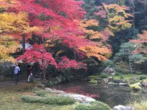 南禅寺の庭園