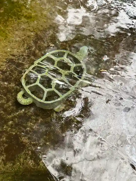 須山浅間神社(静岡県)