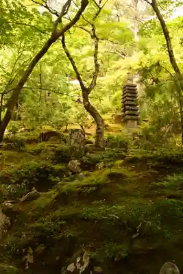 常寂光寺(京都府)