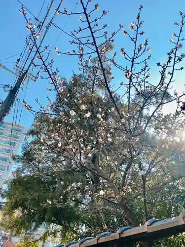 止止呂支比売命神社の自然