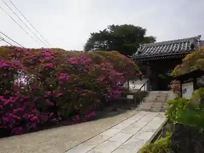 安養院　(田代寺）の山門・神門