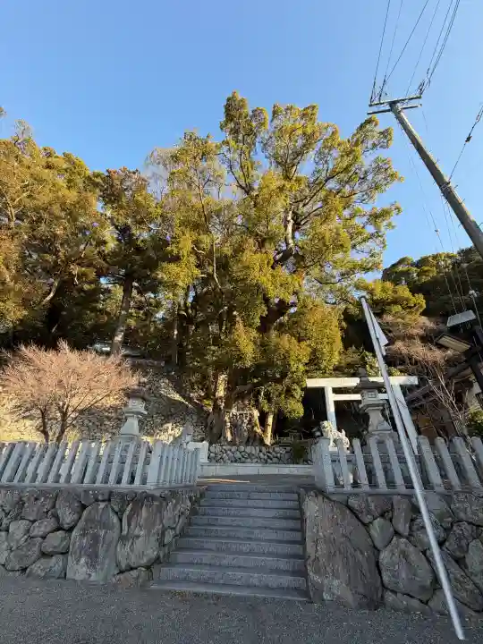 長島神社の{uncategorized: "未分類", other: "その他", undefined: "問題あり", building: "その他建物", grave: "お墓", sacred_gate: "鳥居", guardian: "狛犬", statue: "像", buddha: "仏像", history: "歴史", nature: "自然", garden: "庭園", animal: "動物", pagoda: "塔", temizu: "手水舎", mountain_gate: "山門・神門", sanctuary: "本殿・本堂", subordinate: "末社・摂社", art: "芸術", scenery: "景色", jizo: "地蔵", ema: "絵馬", goshuin: "御朱印", omikuji: "おみくじ", items: "授与品その他", amulet: "お守り", goshuincho: "御朱印帳", eats: "食事", festival: "お祭り", votive_dance: "神楽", shichigosan: "七五三参", wedding: "結婚式", experience: "体験その他", initially: "初詣", around: "周辺", anti_infection: "感染症対策"}