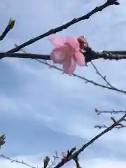 大生郷天満宮の自然