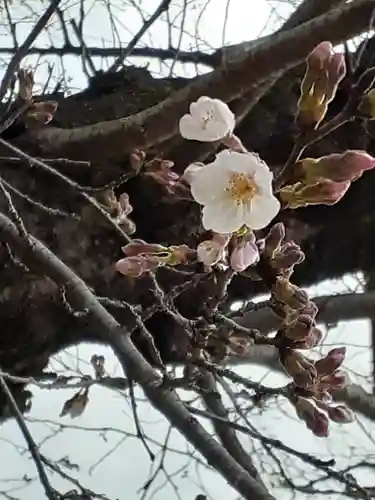 伏木香取神社の自然