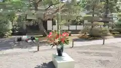 仁和寺の芸術