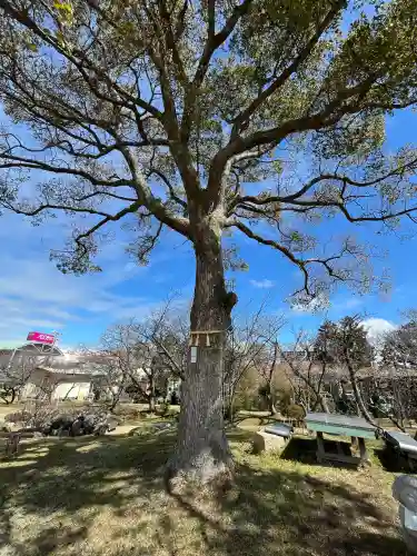 大池八大竜王社の{uncategorized: "未分類", other: "その他", undefined: "問題あり", building: "その他建物", grave: "お墓", sacred_gate: "鳥居", guardian: "狛犬", statue: "像", buddha: "仏像", history: "歴史", nature: "自然", garden: "庭園", animal: "動物", pagoda: "塔", temizu: "手水舎", mountain_gate: "山門・神門", sanctuary: "本殿・本堂", subordinate: "末社・摂社", art: "芸術", scenery: "景色", jizo: "地蔵", ema: "絵馬", goshuin: "御朱印", omikuji: "おみくじ", items: "授与品その他", amulet: "お守り", goshuincho: "御朱印帳", eats: "食事", festival: "お祭り", votive_dance: "神楽", shichigosan: "七五三参", wedding: "結婚式", experience: "体験その他", initially: "初詣", around: "周辺", anti_infection: "感染症対策"}