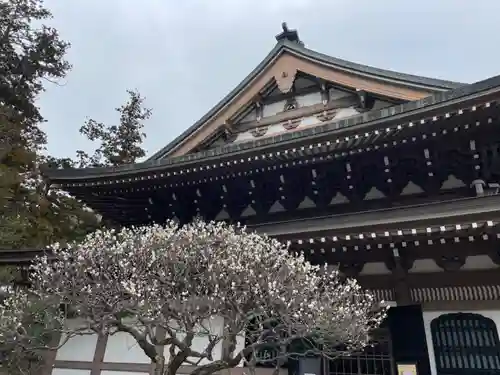 円覚寺(神奈川県)