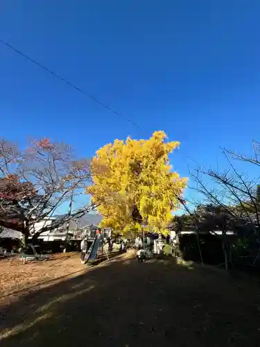 丹生酒殿神社(和歌山県)