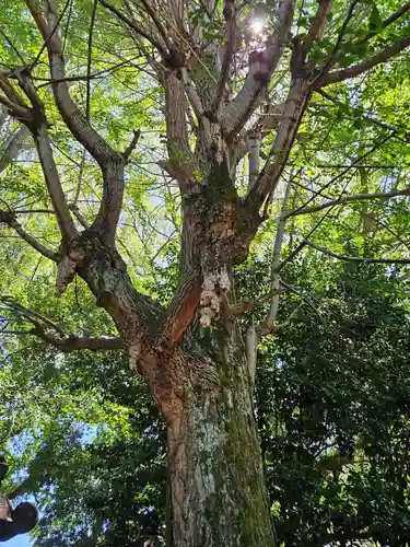上野東照宮(東京都)