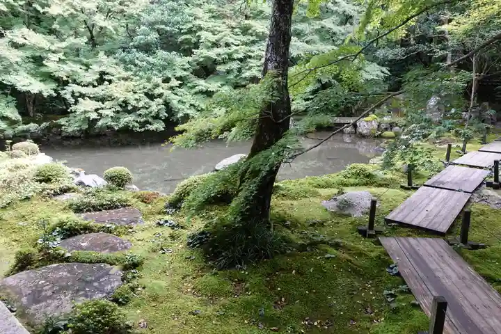 蓮華寺(洛北蓮華寺)の庭園