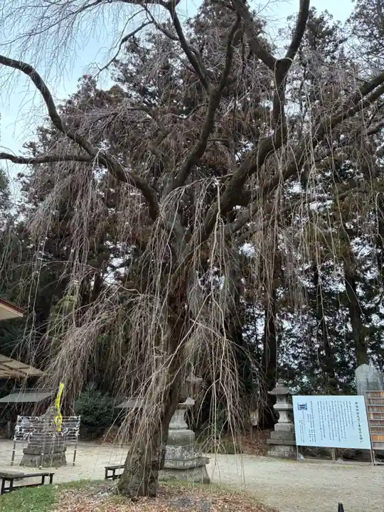 那須神社(栃木県)