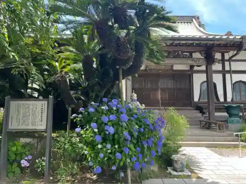 能満寺(神奈川県)
