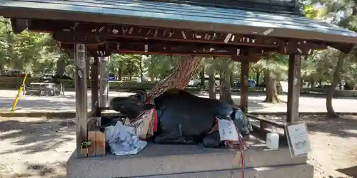 北野天満宮(京都府)