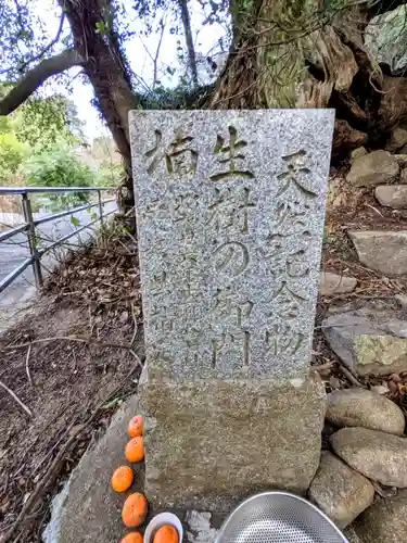 大山祇神社奥の院 生樹の御門(愛媛県)